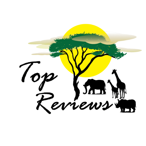 Top web development agency in Johannesburg